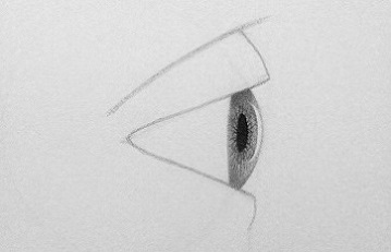 drawing eyes from the side step 7