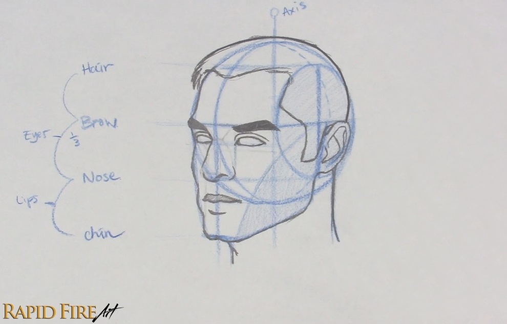 How to Draw a Face from 3 quarter view Loomis Method