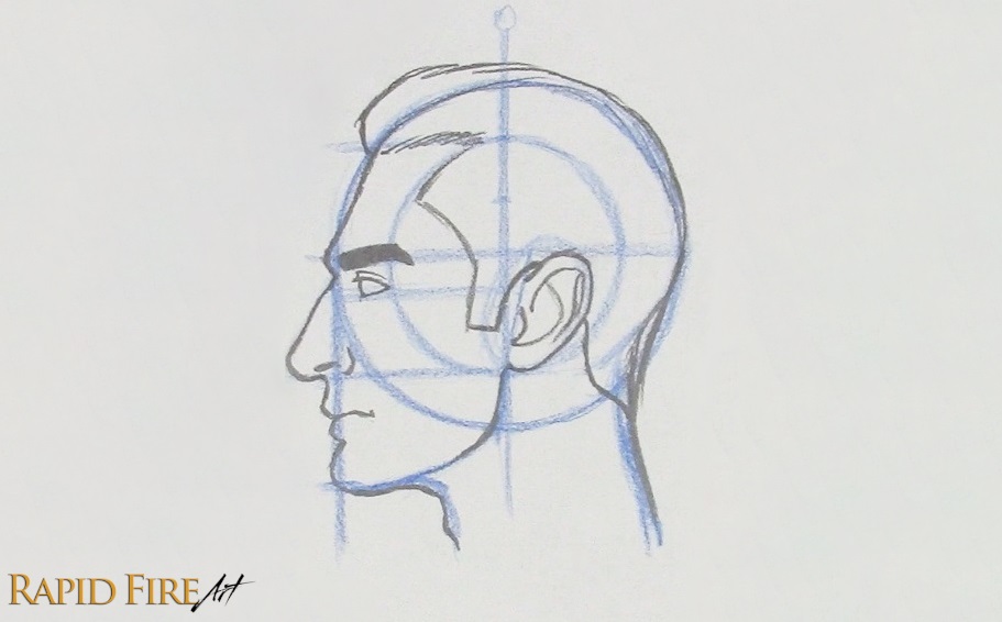 how to draw a face from the side_Loomis Method
