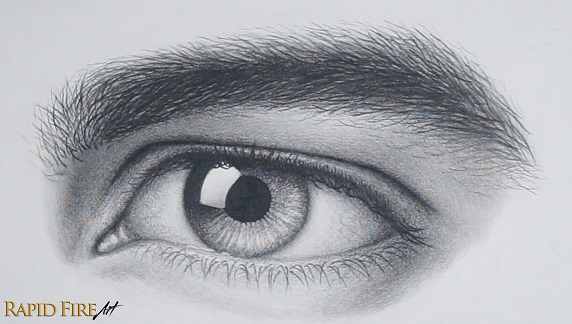 How to Draw a Male Eyebrow