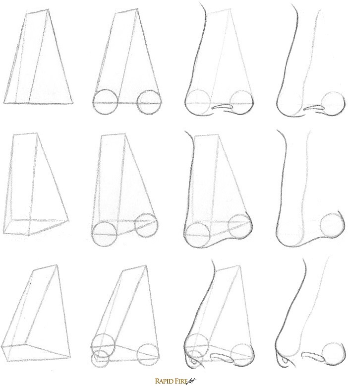 how to draw a nose from the 3/4 view