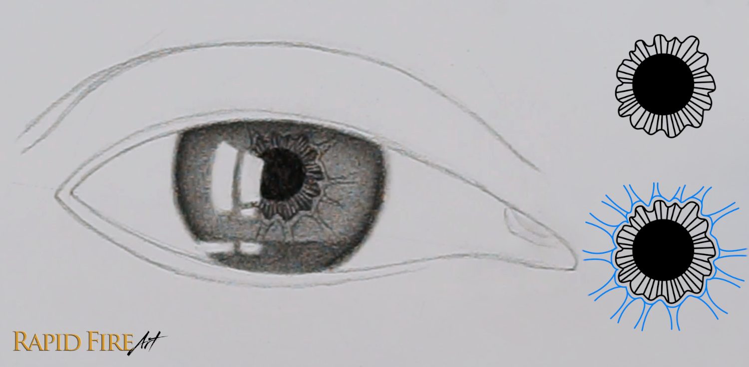 How to Draw a Teary Crying Eye Step 6_1