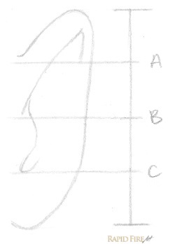 how-to-draw-an-ear-from-the-front-step-3-rfa