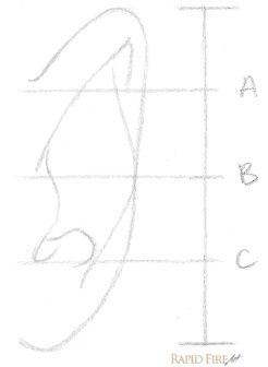 how-to-draw-an-ear-from-the-front-step-5-rfa