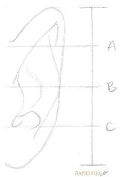 how-to-draw-an-ear-from-the-front-step-6-rfa