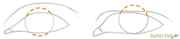 How to Draw Different Eye Shapes Iris Example RFA