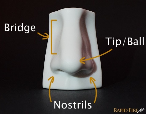 how to draw noses diagram RFA