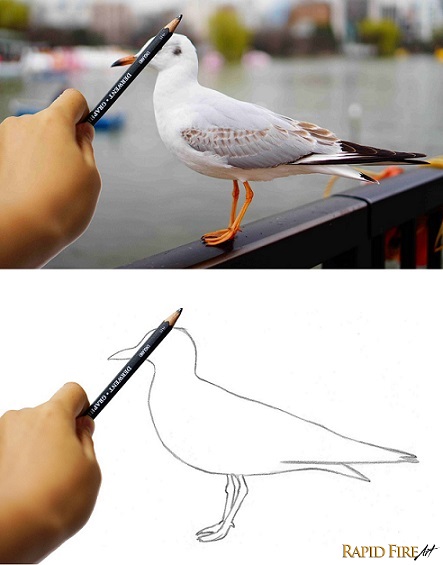 measuring angles when drawing rfa