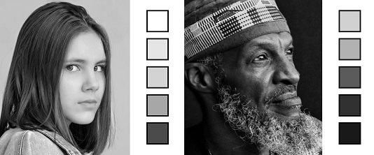 Portrait Drawing Value Scale RFA 2