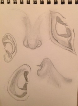 Reader Submitted Art 30_11_2015_Penny Sadler 2 Reader Submitted Art 30_11_2015_Penny Sadler 2