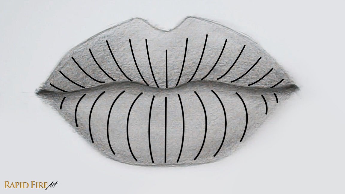 Lip Contour Lines For Drawing