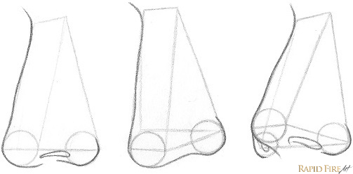 drawing a nose from the 3/4 view