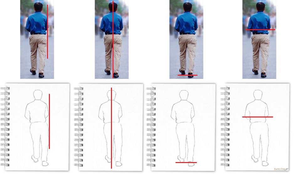 How to draw using the sight size method _ Vertical and Horizontal Relationships Comparison
