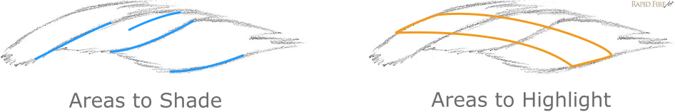 mini-tutorial_drawing-small-section-of-hair_lighting