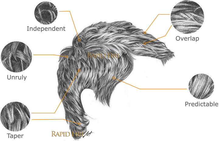 wm-how-to-detail-short-hair-close-up-rfa