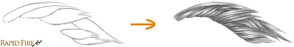 wm-how-to-draw-short-hair_grouping-hairs-example